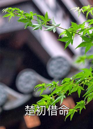 畅读全文不能说的秘密